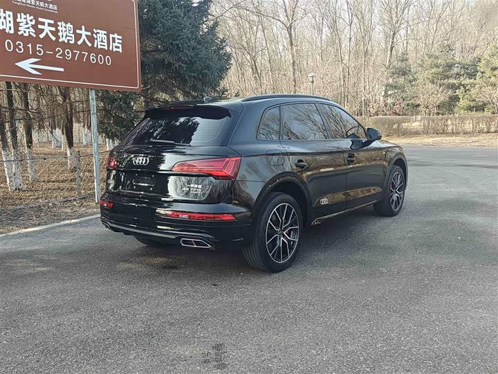 Audi Q5L 2025 2025款 45周年典藏版 45 TFSI 豪华动感型