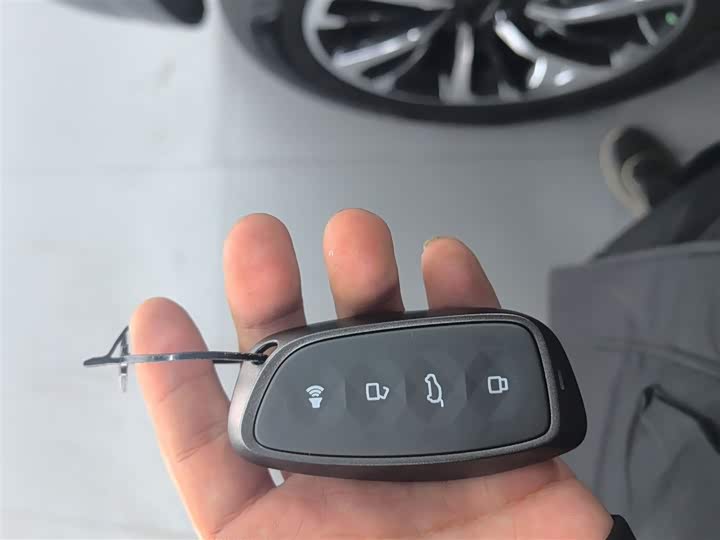 Haval H9 2024 2024款 2.0T 汽油四驱极境版