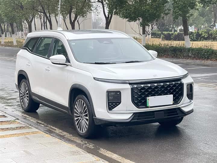 Jetour Shanhai L9 2024 2024款 1.5TD 2DHT Pro 7座