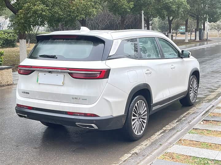 Jetour Shanhai L9 2024 2024款 1.5TD 2DHT Pro 7座