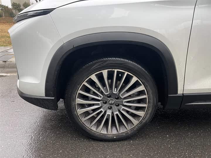 Jetour Shanhai L9 2024 2024款 1.5TD 2DHT Pro 7座