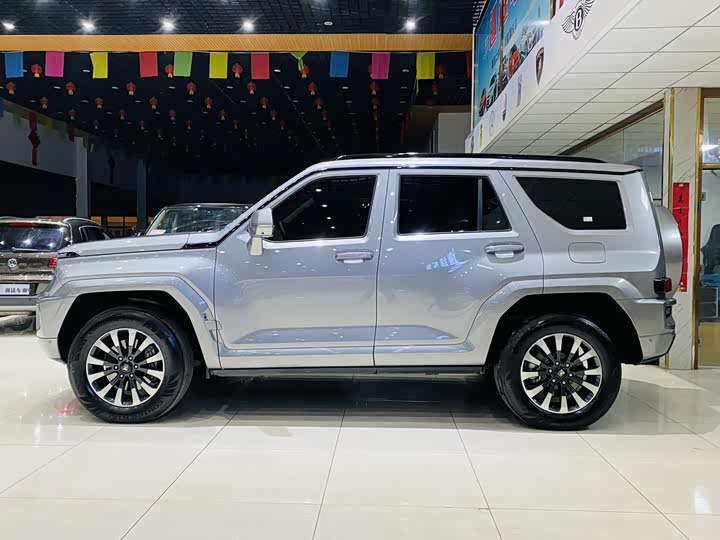 Tank 700 Hybrid 2024 2024款 Hi4-T 极境版