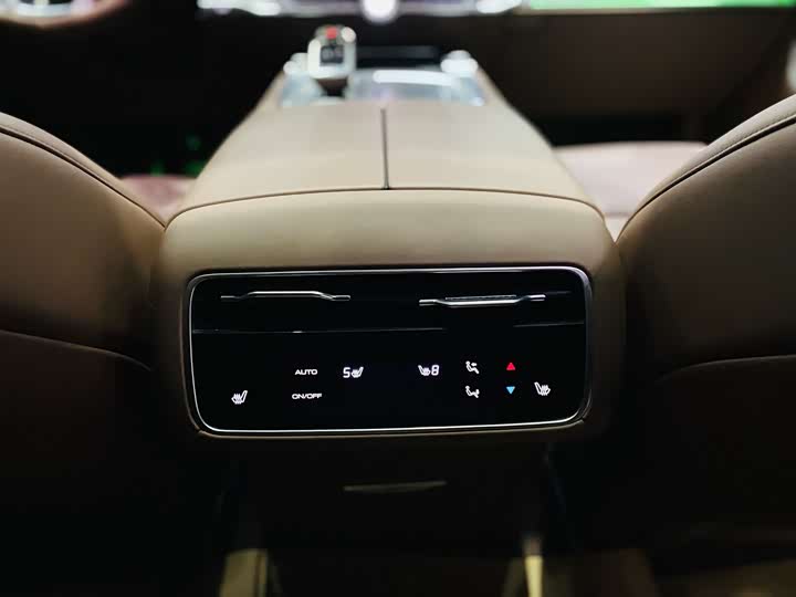 Tank 700 Hybrid 2024 2024款 Hi4-T 极境版