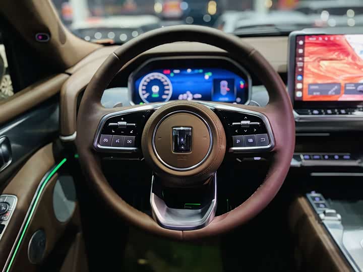 Tank 700 Hybrid 2024 2024款 Hi4-T 极境版