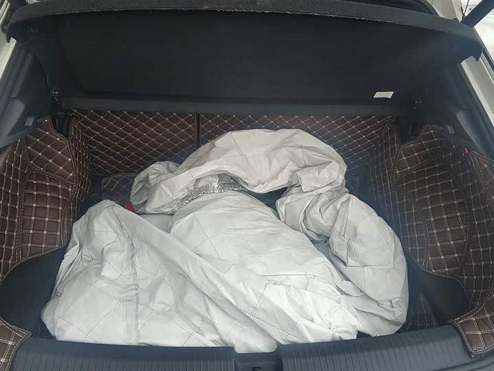 Volkswagen T-Roc 2023 2023款 300TSI DSG两驱辰光版