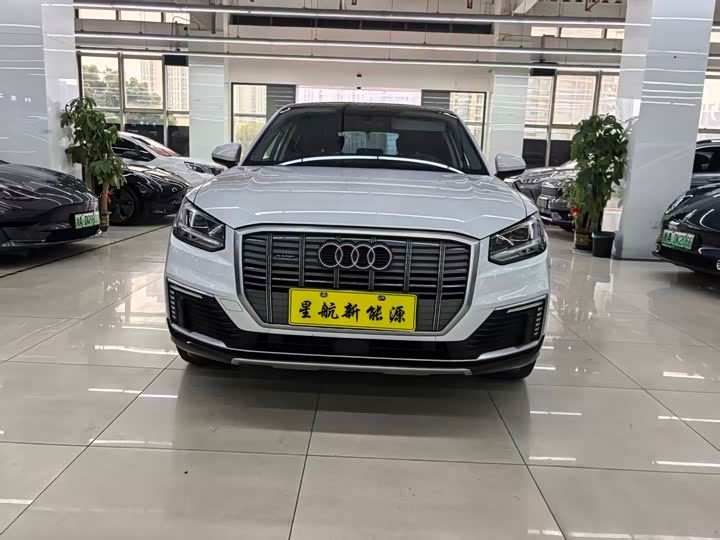 Audi Q2L e-tron 2019 2019款 Q2L e-tron 纯电智享型
