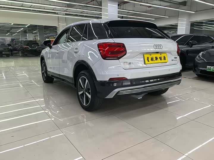 Audi Q2L e-tron 2019 2019款 Q2L e-tron 纯电智享型