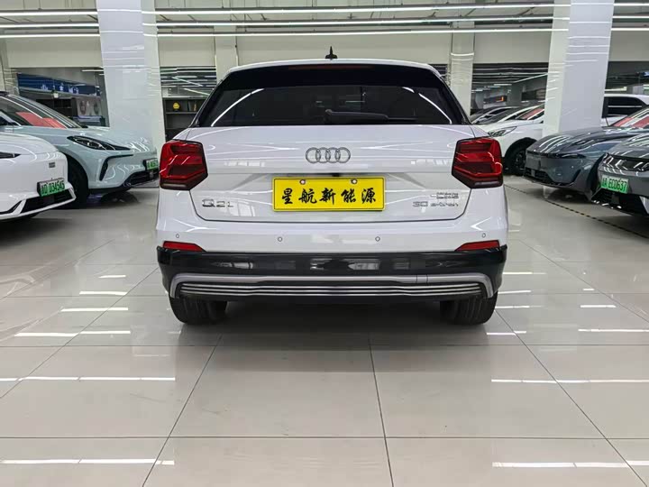 Audi Q2L e-tron 2019 2019款 Q2L e-tron 纯电智享型