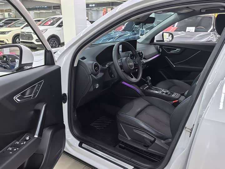 Audi Q2L e-tron 2019 2019款 Q2L e-tron 纯电智享型