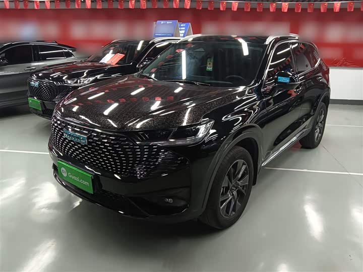Haval H6 Hybrid 2023 2023款 DHT-PHEV 110KM 悦行版