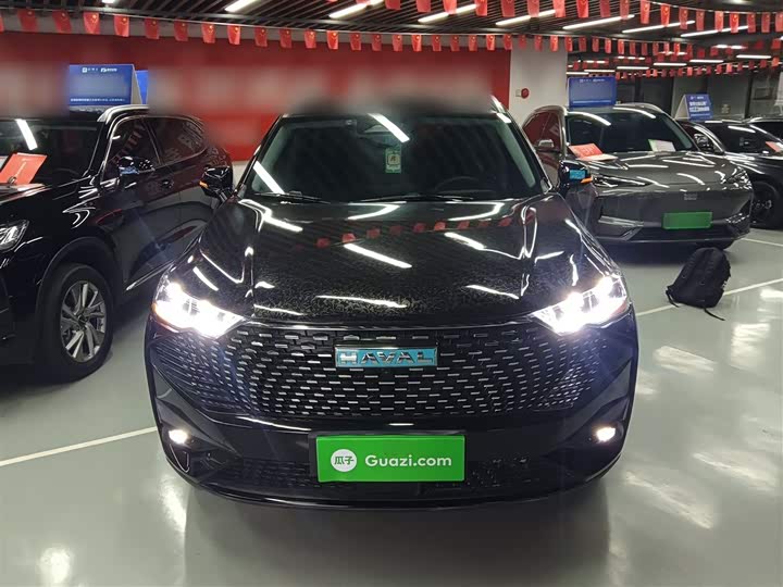 Haval H6 Hybrid 2023 2023款 DHT-PHEV 110KM 悦行版