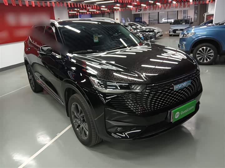 Haval H6 Hybrid 2023 2023款 DHT-PHEV 110KM 悦行版