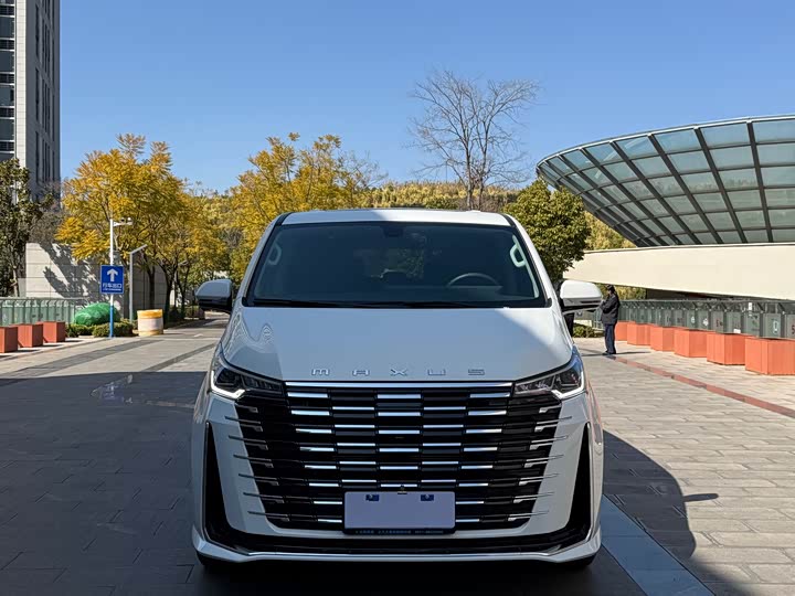 Maxus G10 2025 2025款 MAX 2.0T 自动旗舰版 汽油 7座