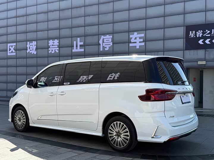 Maxus G10 2025 2025款 MAX 2.0T 自动旗舰版 汽油 7座