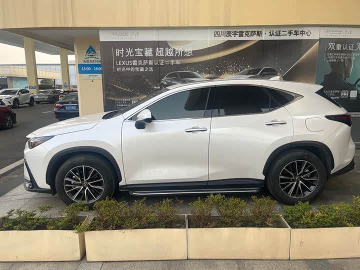 Lexus NX 2023 2023款 350h 前驱 创悦版
