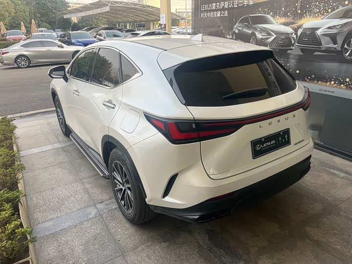 Lexus NX 2023 2023款 350h 前驱 创悦版