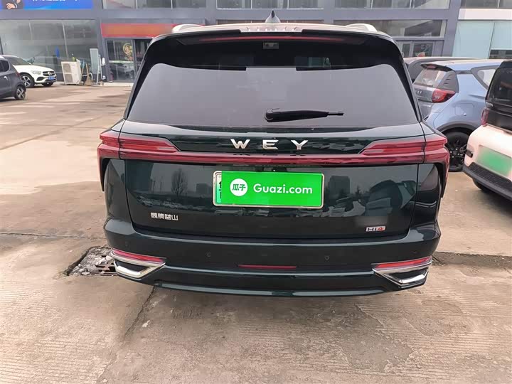Wey Lanshan 2025 2025款 四驱智驾 Max