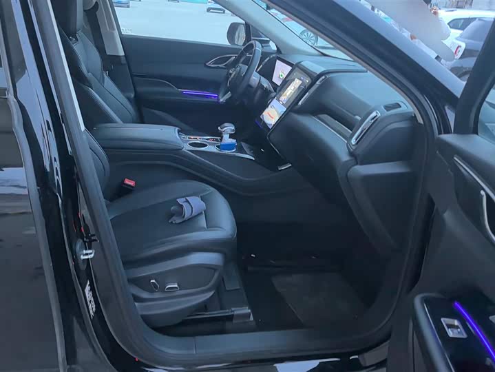 Hongqi HS3 Hybrid 2024 2024款 115km 劲为版