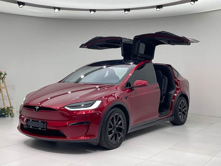 Tesla Model X 2023 2023款 双电机全轮驱动版