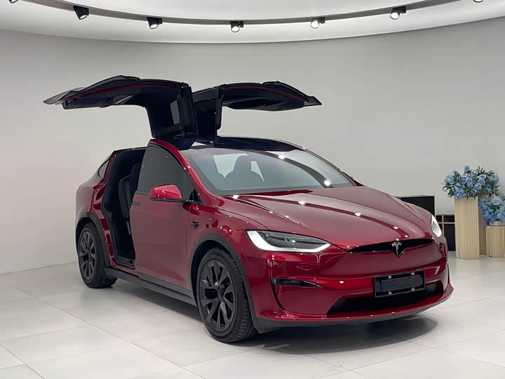Tesla Model X 2023 2023款 双电机全轮驱动版