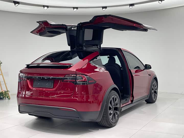 Tesla Model X 2023 2023款 双电机全轮驱动版