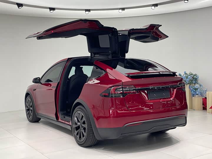 Tesla Model X 2023 2023款 双电机全轮驱动版