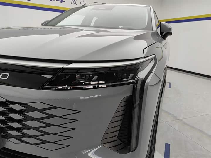 Exeed RX C-DM Hybrid 2024 2024款 1.5T 长续航Pro