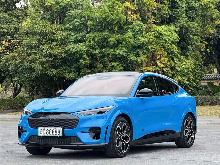 Ford Mustang Mach-E 2021 2021款 GT