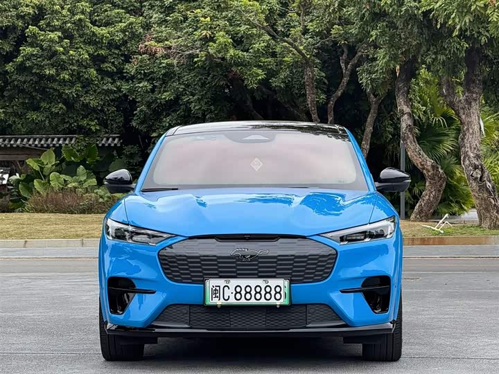 Ford Mustang Mach-E 2021 2021款 GT