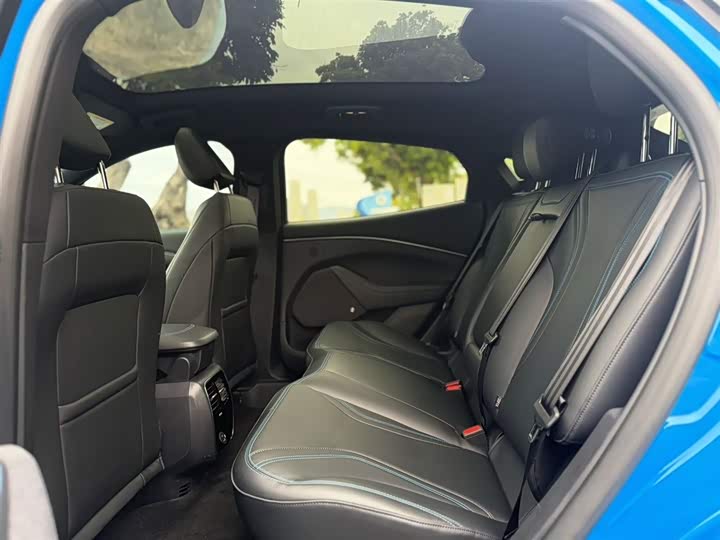 Ford Mustang Mach-E 2021 2021款 GT