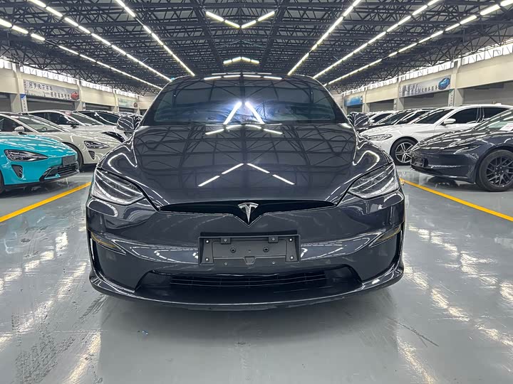 Tesla Model X 2023 2023款 双电机全轮驱动版
