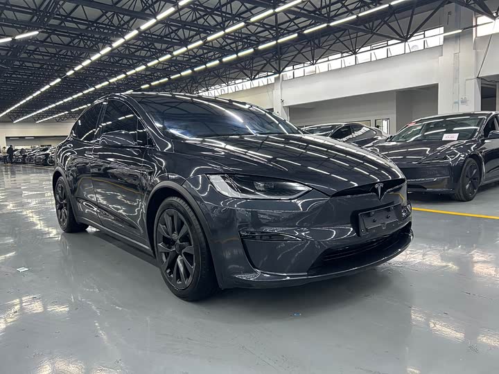 Tesla Model X 2023 2023款 双电机全轮驱动版