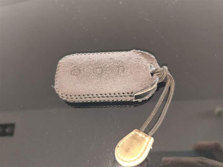 Geely Galaxy E8 2025 2025款 700km 远航智驾版