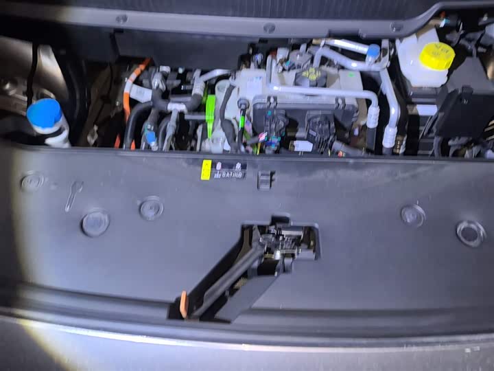 GAC Aion Y 2025 2025款 Plus 510 智享版