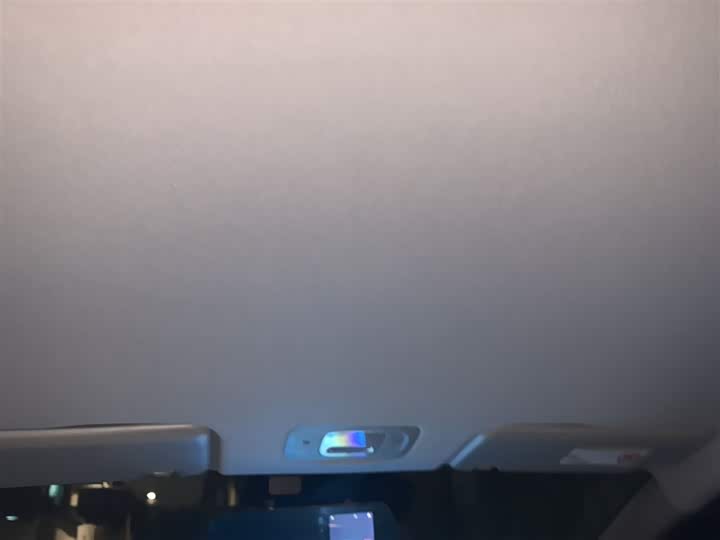 GAC Aion Y 2025 2025款 Plus 510 智享版