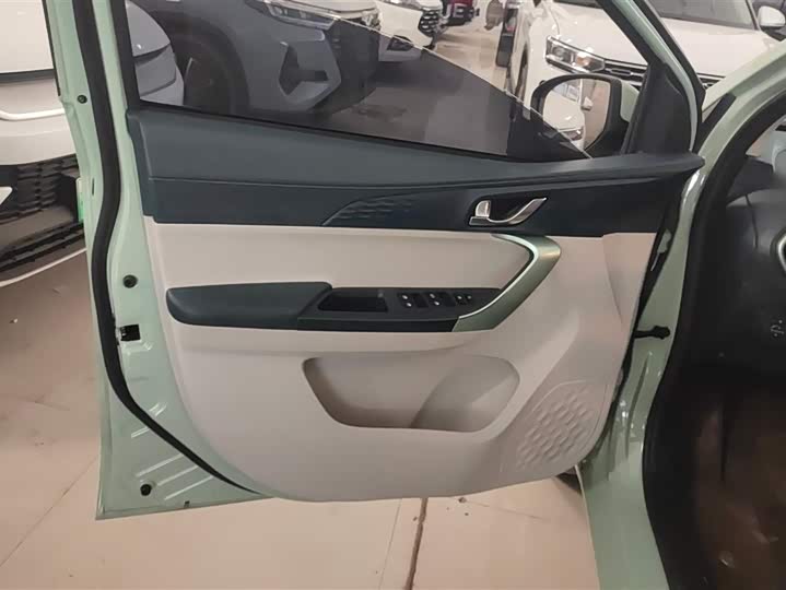 Changan BenBen E-Star 2022 2022款 清心版 多彩款 磷酸铁锂