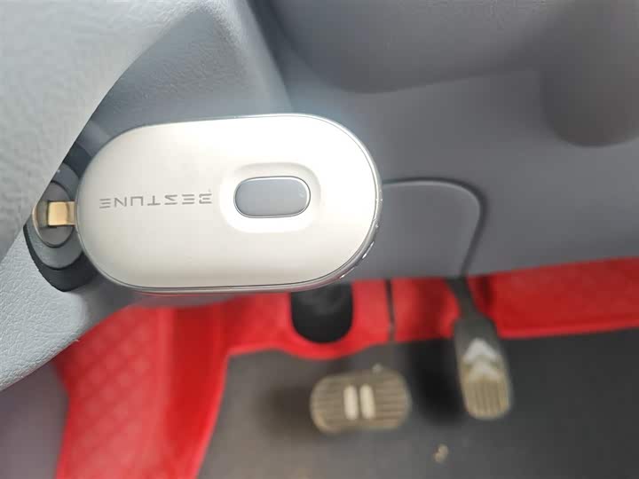 Bestune Pony 2025 2025款 222km 灵动马