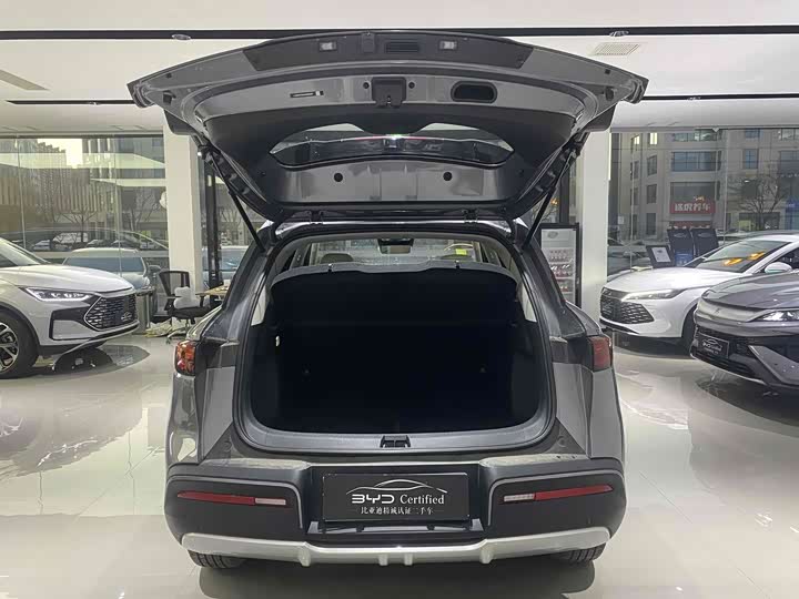 BYD Yuan Up 2025 2025款 智驾版 401KM 超越型