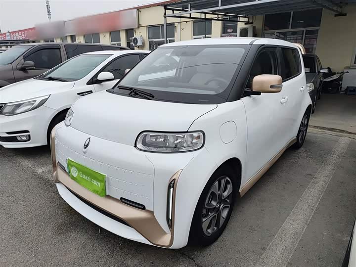 Ora White Cat 2022 2022款 小野猫版 360km 豪华型 三元锂