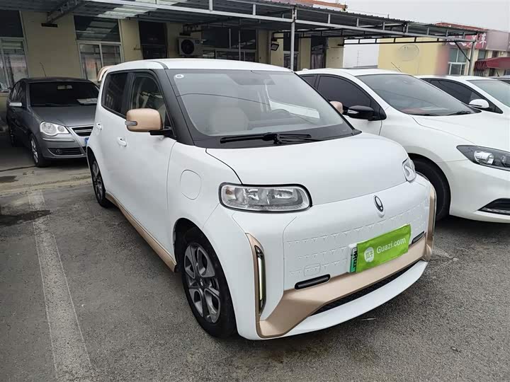 Ora White Cat 2022 2022款 小野猫版 360km 豪华型 三元锂