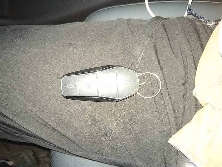 BYD Yuan Plus 2025 2025款 智驾版 510KM 超越型