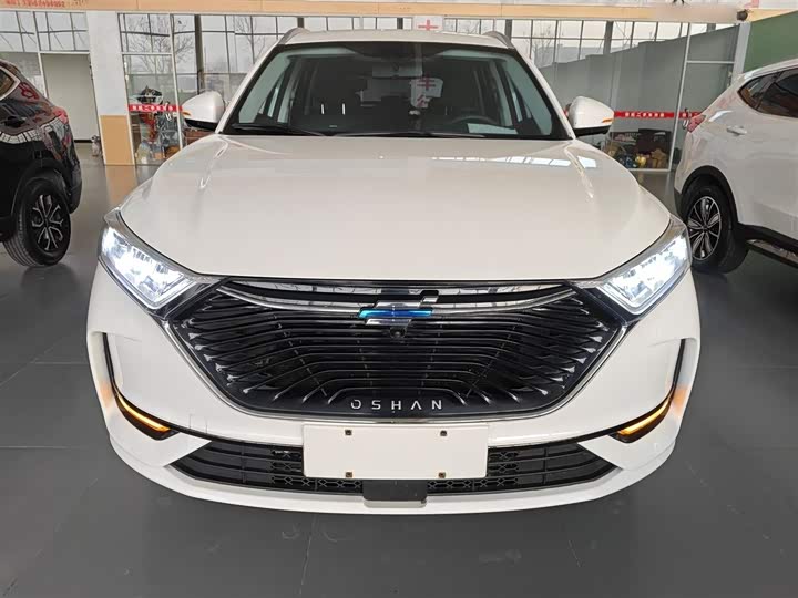 Changan Oshan X7 2021 2021款 1.5T 自动尊享型