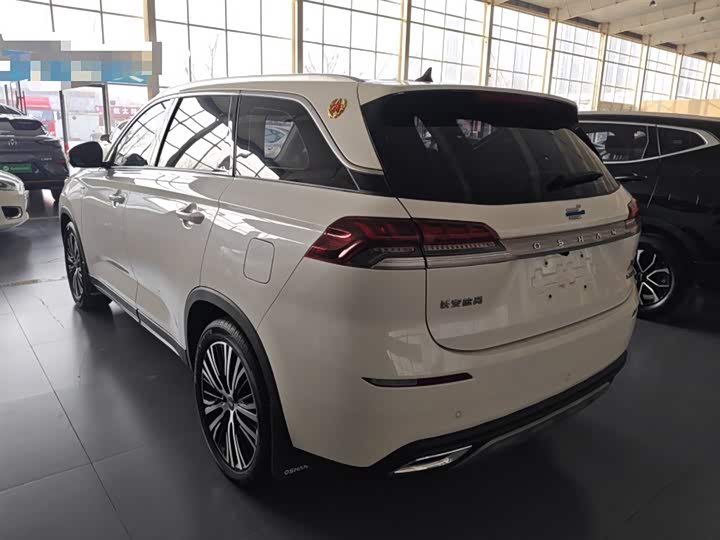 Changan Oshan X7 2021 2021款 1.5T 自动尊享型