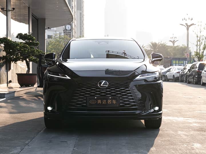 2025 Lexus RX
