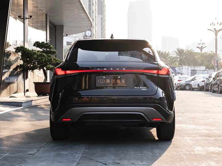 2025 Lexus RX