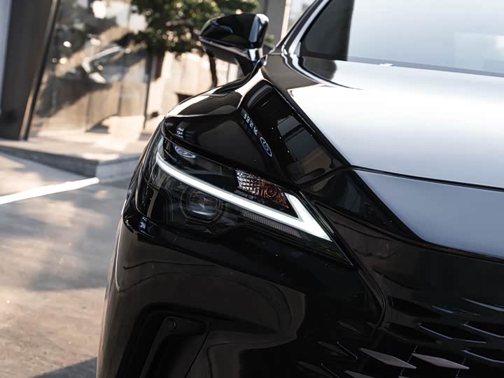 Lexus RX 2025 2025款 300 四驱骏享版