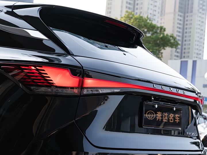Lexus RX 2025 2025款 300 四驱骏享版