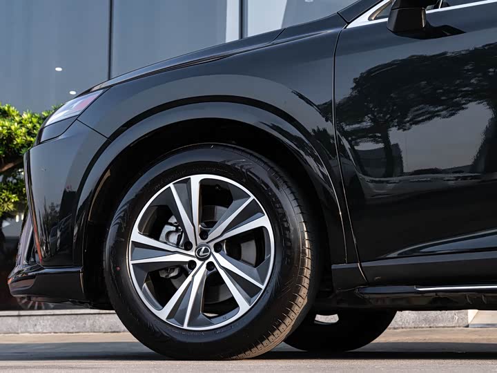 Lexus RX 2025 2025款 300 四驱骏享版