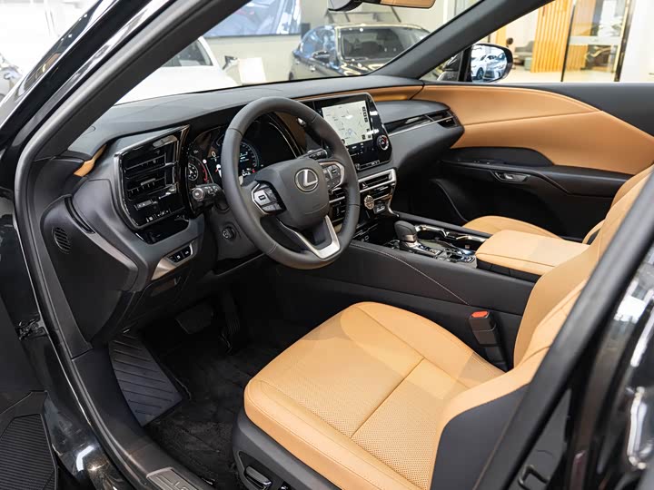 Lexus RX 2025 2025款 300 四驱骏享版