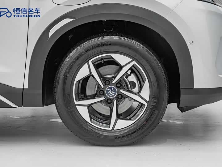 BYD Yuan Up 2025 2025款 智驾版 401KM 超越型